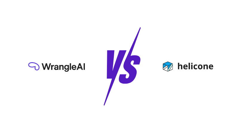 WrangleAI vs Helicone