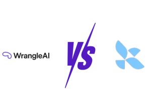 WrangleAI vs LangSmith